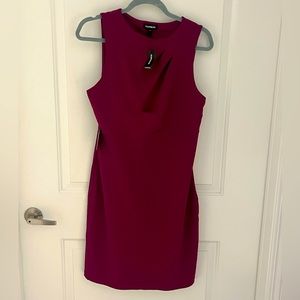 Express Sheath Dress.